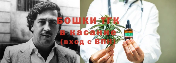 гидра Лиски