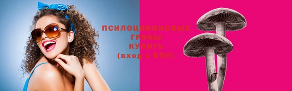 ALPHA PVP Лихославль