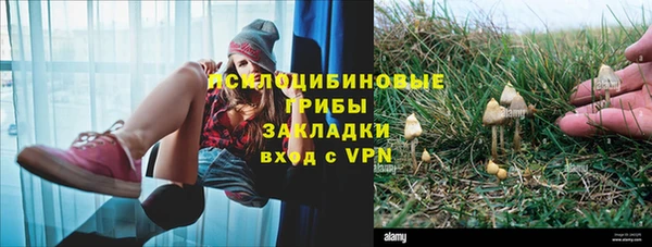 гидра Лиски